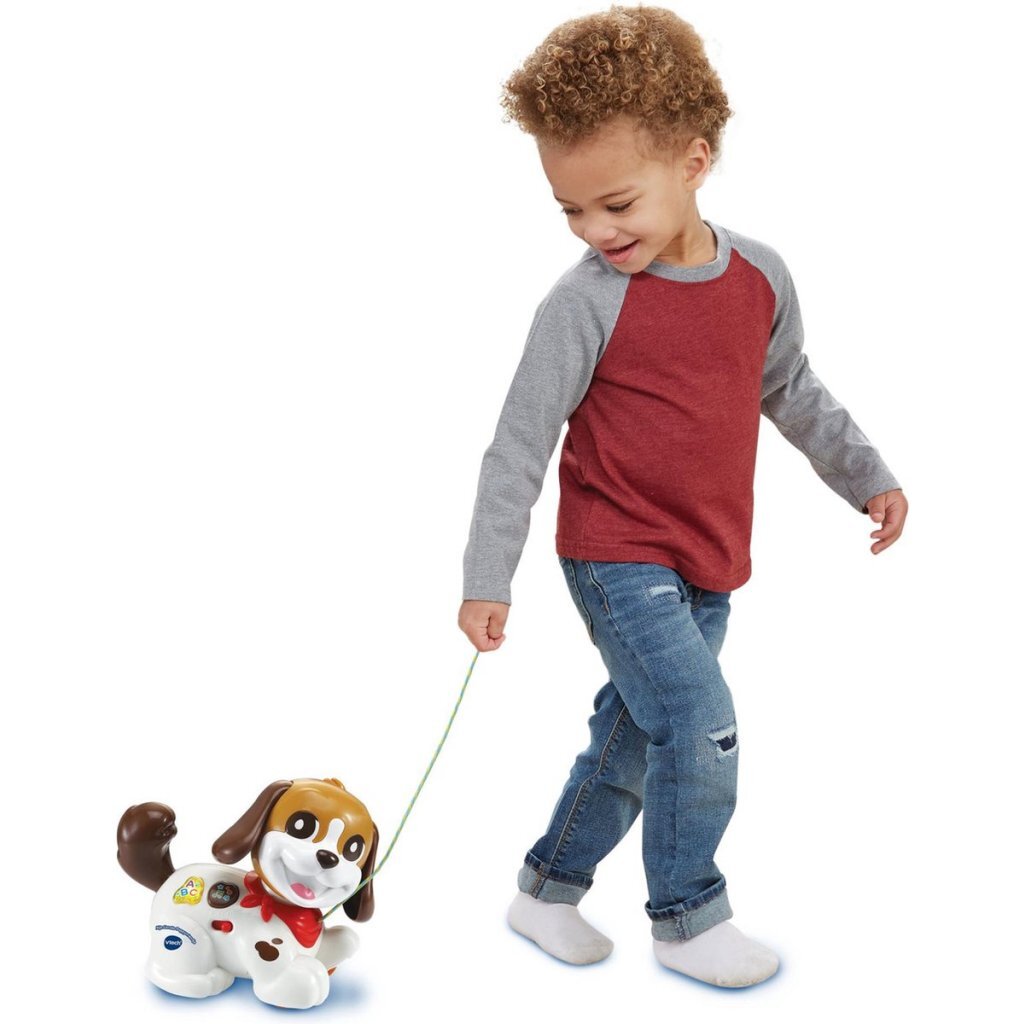 Vtech Baby Mijn Eerste Puppyvriendje + Licht En Geluid