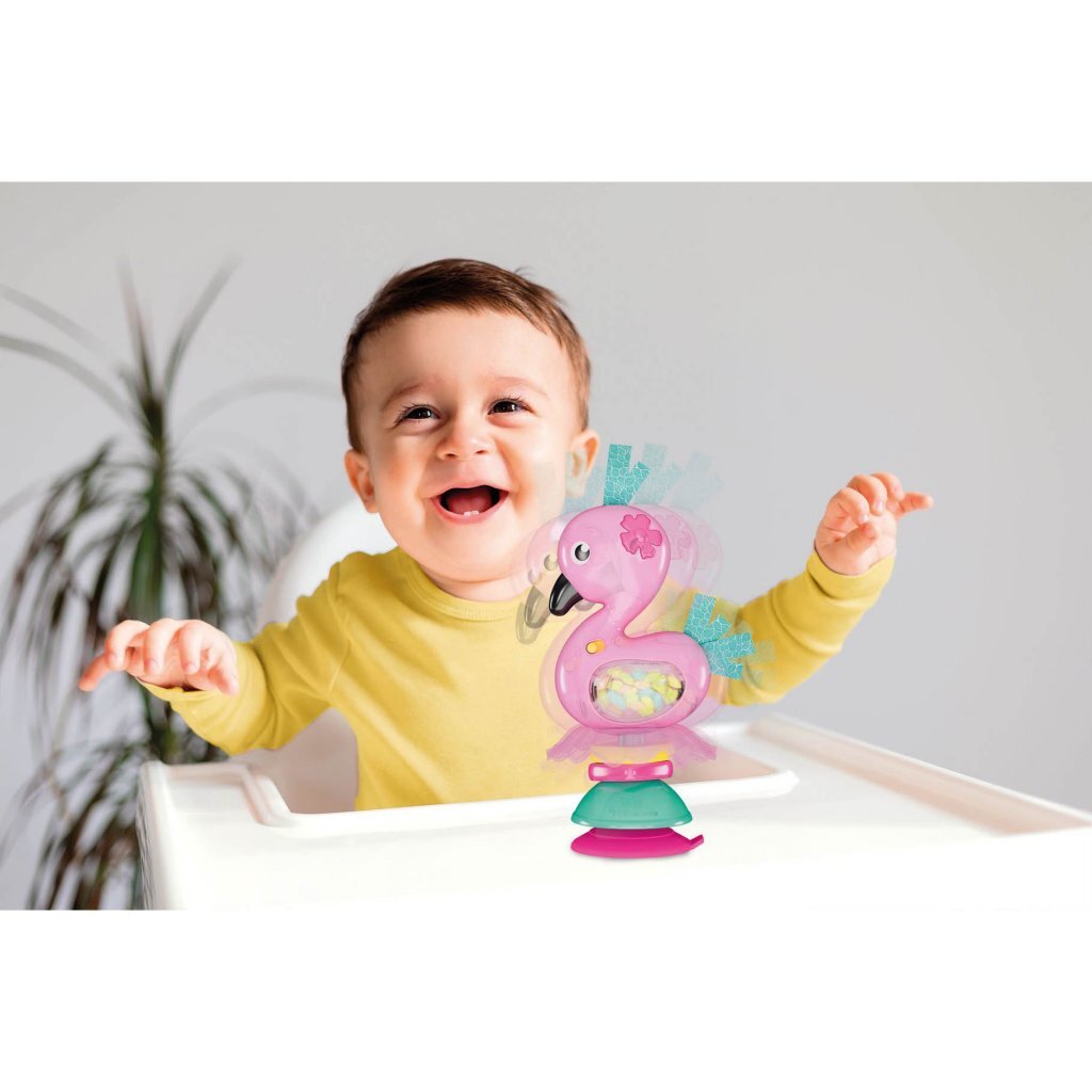 Clementoni Baby Shake &Amp; Play Flamingo + Geluid